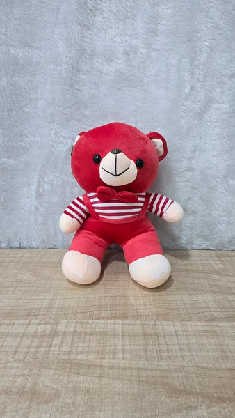 AM6954 Plush Red Teddy Bear with Striped Overalls and Bowtie