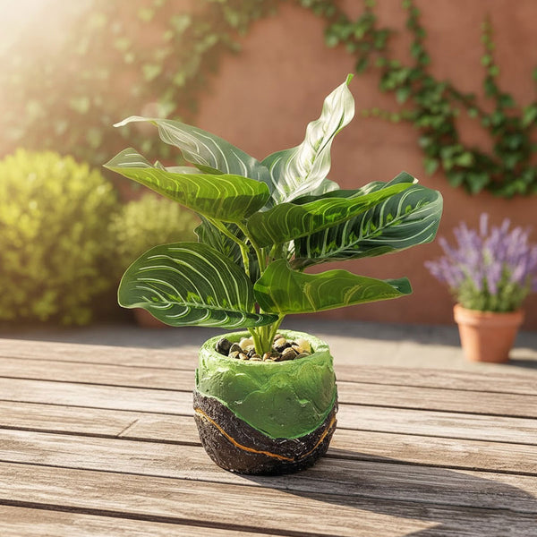 TM0033 Artificial Pinstripe Calathea Plant in Designer Green & Black Textured Pot