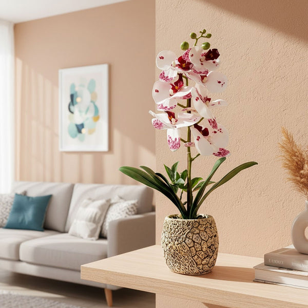 TM0028 Artificial Phalaenopsis Orchid Plant in Textured Ceramic Pot