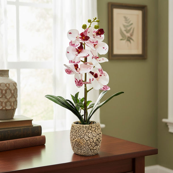 TM0028 Artificial Phalaenopsis Orchid Plant in Textured Ceramic Pot