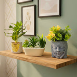 TM0029 Artificial Decorative Plants in Unique Cement & Ceramic Planter [Set of 1]