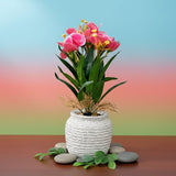 TM0030 Artificial Pink Floral Arrangement in Textured White Ceramic Pot