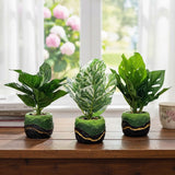 TM0033 Artificial Pinstripe Calathea Plant in Designer Green & Black Textured Pot