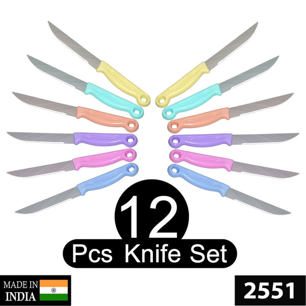 2551 Multipurpose Top Kitchen Knife for Home and Restaurant (12Pcs Set)