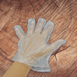 0665 Large Size Plastic Transparent Disposable Gloves For Home(100 pcs)