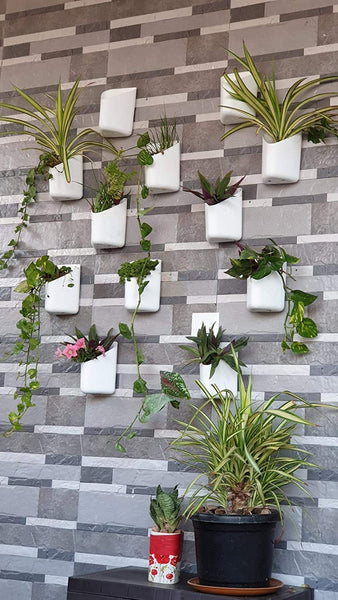 3858 Plastic Flower Wall Pots